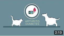 Kontrolle des Körpergewichts